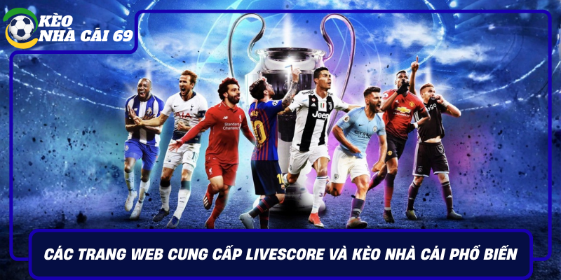 Cac Trang Web Cung Cap Livescore Va Keo Nha Cai Pho Bien