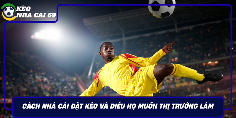 Cach Nha Cai Dat Keo Va Dieu Ho Muon Thi Truong Lam