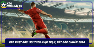 Keo Phat Goc Soi Theo Nhip Tran Bat Goc Chuan 2026