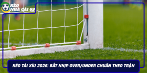 Keo Tai Xiu 2026 Bat Nhip Overunder Chuan Theo Tran