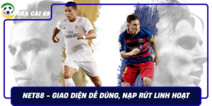 Net88 Giao Dien De Dung Uu Dai Deu Nap Rut Linh Hoat